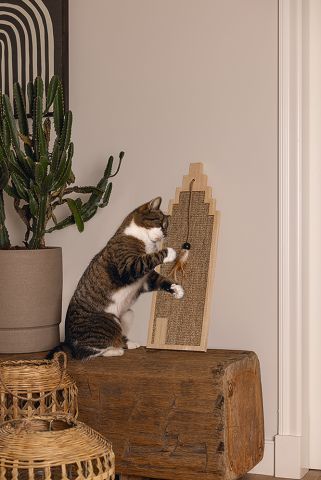 Designed by Lotte Berit - Krabplank - Hout - Bruin - 60x20x2 cm