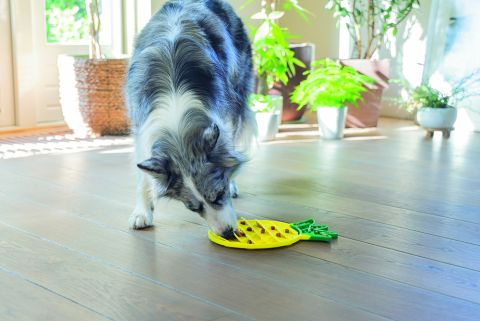 Beeztees Ananas - Likmat - 30x20x3 cm - Geel
