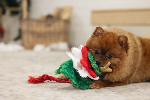 Beeztees Kerstboom - Knuffel - Flowtouw- Kerst Hondenspeelgoed - 