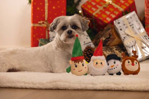 Beeztees Kerstfiguren - Knuffel - Hondenspeelgoed - Multi - 9x7x5 cm - 1 stuk