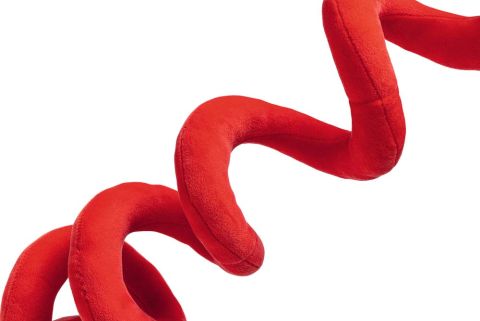 Beeztees Kerstman Spiraal - Knuffel - Hondenspeelgoed - Rood - 32,5x16x8 cm