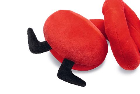 Beeztees Kerstman Spiraal - Knuffel - Hondenspeelgoed - Rood - 32,5x16x8 cm