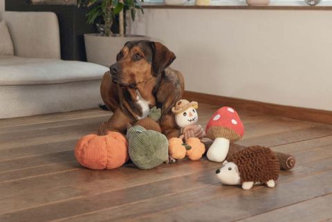 Beeztees Paddenstoel Toad - Knuffel - Hondenspeelgoed - Rood - 20x15x14 cm