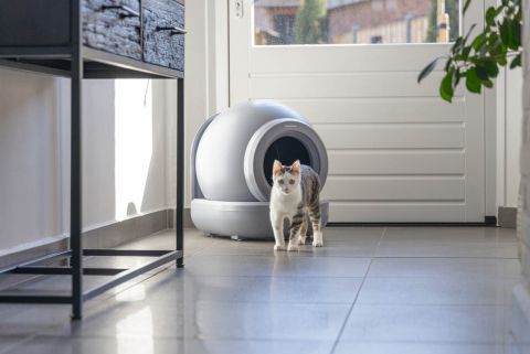 Beeztees Moeza - Automatische kattenbak - 57x56x62 cm - Antraciet