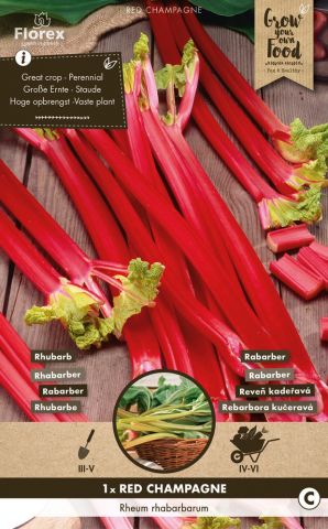 Red Champagne - Rabarber - 