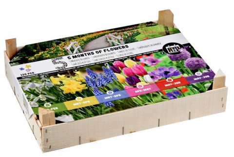 Bloembollenmix  5 Maanden Bloemen - Bloembollen - Gemengd - 120 stuks