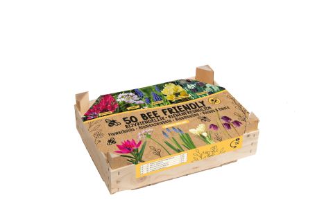 Florex Bloembollen mix - in Kistje - Multi - 50 stuks