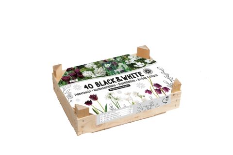 Bloembollenmix Black&White - Bloembollen - Zwart-wit - 40 stuks