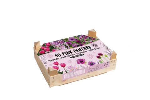 Bloembollenmix Pink Panther - Bloembollen - Roze - 40 stuks