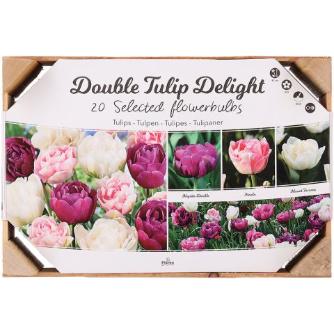 Tulp Double Delight - Bloembollen - Gemengd - 20 stuks