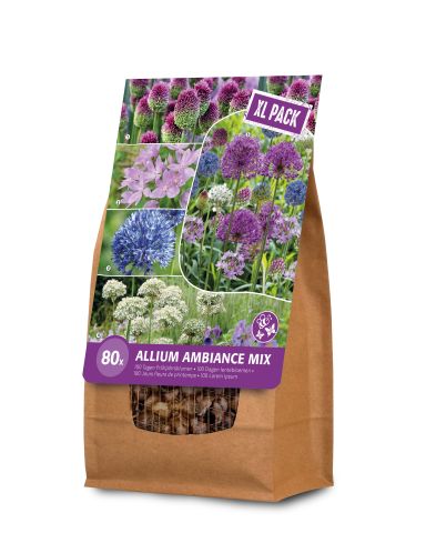 Florex Ambiance Allium - Bloembollen - XL zak - Gemengd - 80 stuks