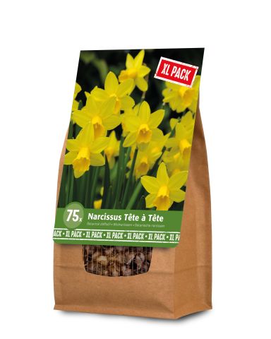 Florex Narcis - Bloembollen - XL zak - Gemengd - 75 stuks