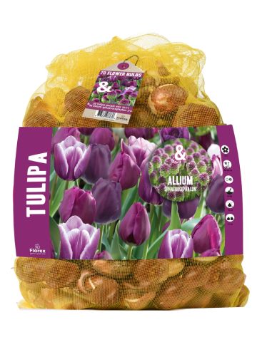 Florex Tulp - Allium - Bloembollen - Gemengd - 70 stuks