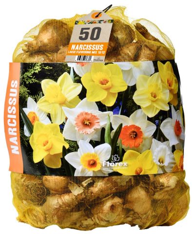 Florex Narcissen Voordeelverpakking  - Bloembollen - Multi - 50 stuks