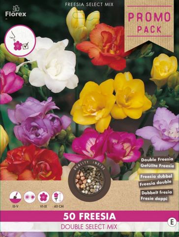 Freesia Dubbel - Bloembollen - Gemengd - 50 stuks