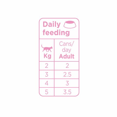 Prins Soft Paté - Kattenvoer - Zalm - Kip - 70 gram