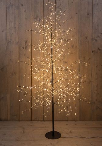 Anna's Collection - Lichtboom - 