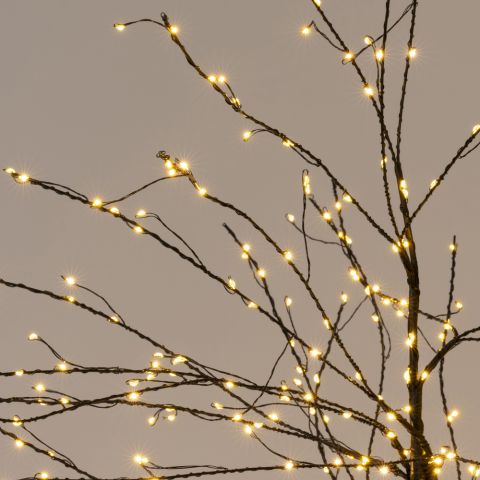 Anna's Collection - Lichtboom - 