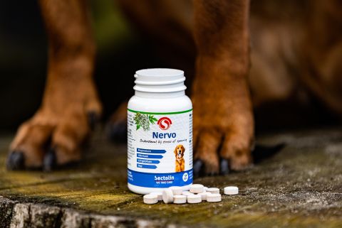 Sectolin Nervo - Kalmeringsmiddel  Hond - 100 stuks