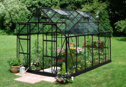 Halls Magnum 128 - Tuinkas - Zwart 384x257x258 cm