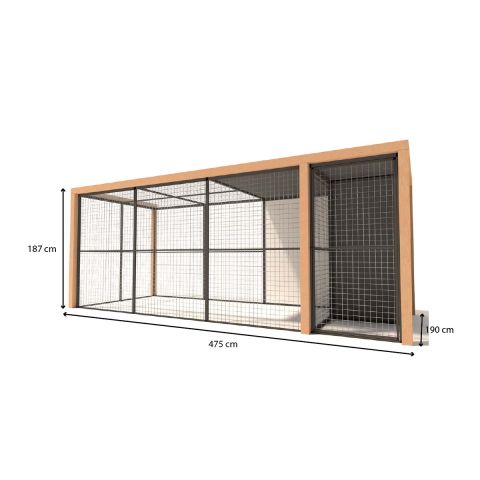 Glorenza Noor - Kattenren - Antraciet