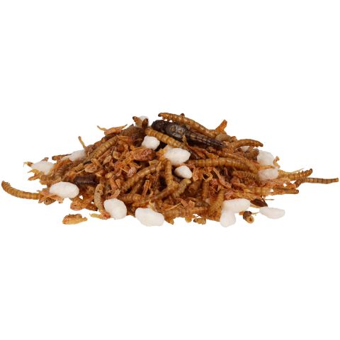 Welkoop Insectenmix - Kippensnack - 400 gram