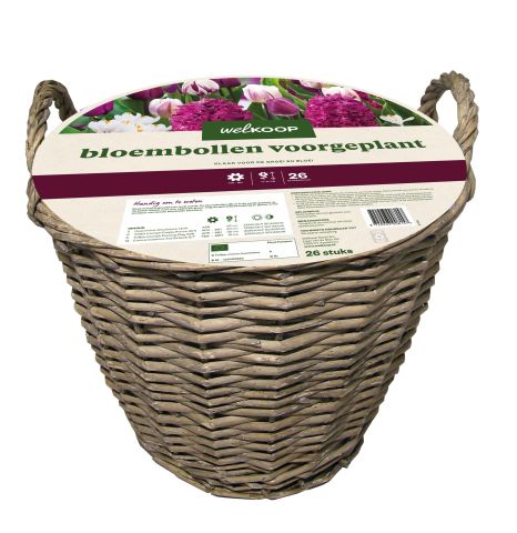 Welkoop Bloembollen mix - in Mand - Multi - 26 stuks