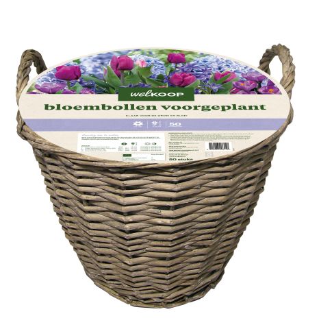 Welkoop Bloembollen mix - in Mand - Multi - 50 stuks