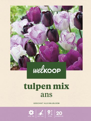 Welkoop Tulpen mix Ans - Bloembollen - Multi - 20 stuks