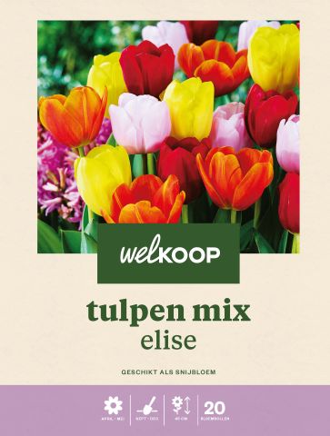 Welkoop Tulpen mix Elise - Bloembollen - Multi - 25 stuks