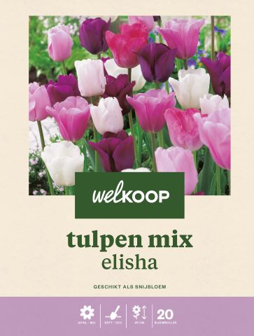 Welkoop Tulpen mix Elisha - Bloembollen - Multi - 20 stuks