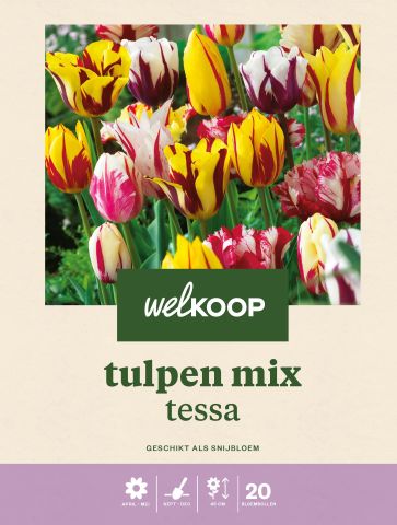 Welkoop Tulpen mix Tessa - Bloembollen - Multi - 20 stuks