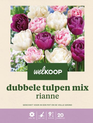 Welkoop Dubbele Tulpen mix  Rianne - Bloembollen - Multi - 20 stuks