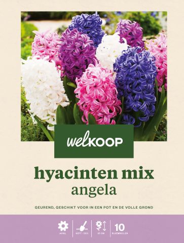 Welkoop Hyacinten mix Angela - Bloembollen - Multi - 10 stuks
