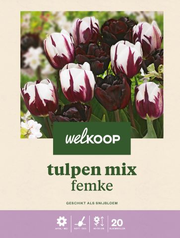 Welkoop Tulpen mix Femke - Bloembollen - Multi - 20 stuks