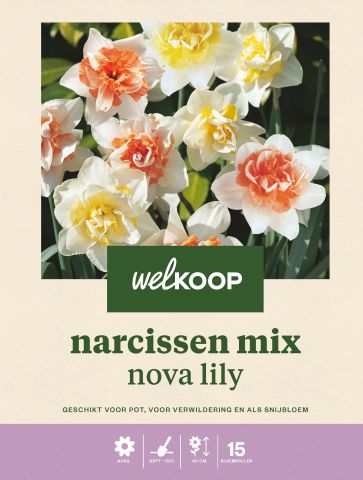 Welkoop Narcissen mix Nova Lily - Bloembollen - Multi - 15 stuks