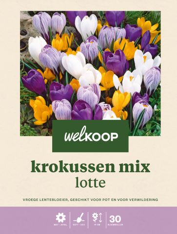 Welkoop Krokussen mix Lotte - Bloembollen - Multi - 30 stuks