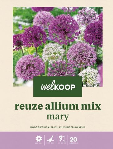 Welkoop Allium Deco mix - Bloembollen - Paars wit - 20 stuks