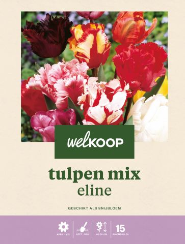 Welkoop Tulpen mix Eline - Bloembollen - Multi - 15 stuks