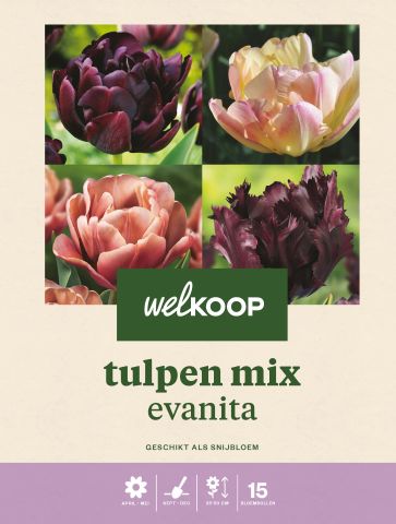 Welkoop Tulpen mix Evanita - Bloembollen - Multi - 15 stuks
