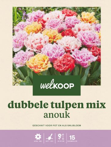 Welkoop Dubbele Tulpen mix Anouk - Bloembollen - Multi - 15 stuks