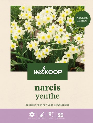 Welkoop Narcis Yenthe - Bloembollen - Multi - 25 stuks