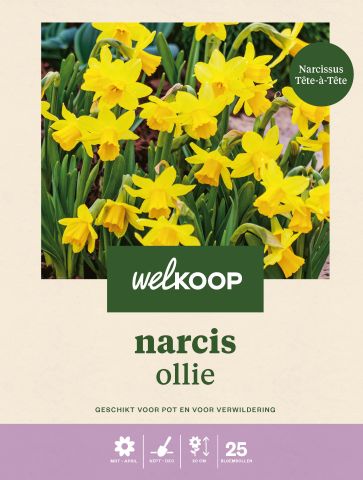Welkoop Narcis Ollie - Bloembollen - Geel - 25 stuks