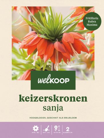 Welkoop Keizerskroon Fritillaria Imperialis Rubra - Bloembollen - Rood - 2 stuks