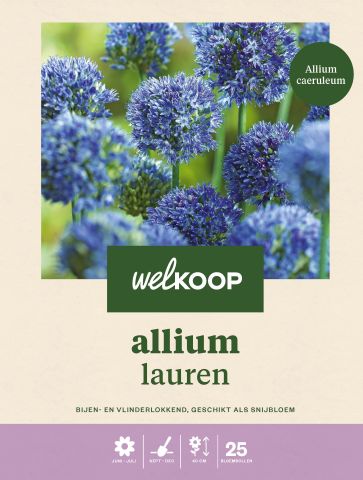 Welkoop Allium Lauren - Bloembollen - Multi - 25 stuks