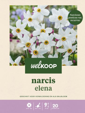 Welkoop Narcis Elena - Bloembollen - Multi - 20 stuks