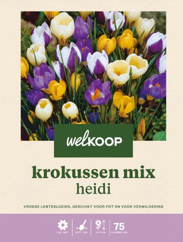 Welkoop Krokus Heidi - Bloembollen - Multi - 75 stuks