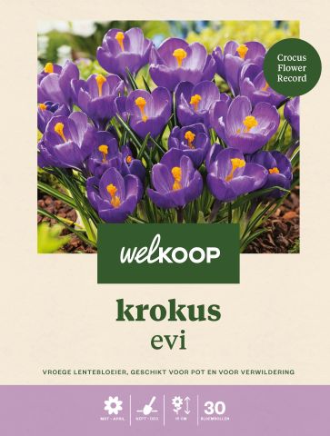 Welkoop Krokus Evi - Bloembollen - Multi - 30 stuks