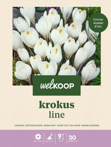 Welkoop Krokus Line - Bloembollen - Multi - 30 stuks