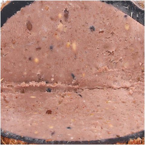 Welkoop - Kokosnoot met Pindakaas - Tuinvogelvoer - 380 gram
